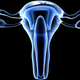 Illustration for article titled Daughter Could Get Mom's Uterus In World's First Womb Transplant